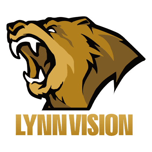 Lynn Vision
