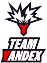 team logo