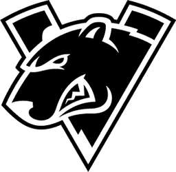 team logo