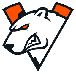 team logo
