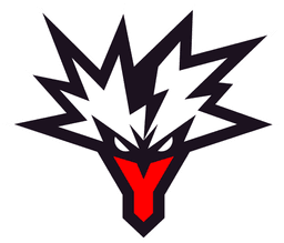 team logo