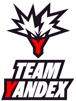 team logo